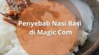 Ternyata Ini Penyebab Nasi Basi di Magic Com, Jangan Sampai Telat!