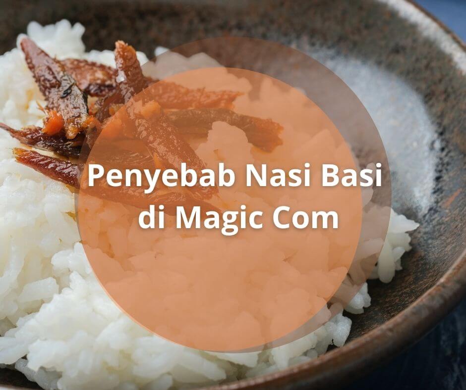 Ternyata Ini Penyebab Nasi Basi di Magic Com, Jangan Sampai Telat!