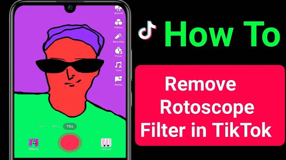 Cara Menghilangkan Filter di TikTok Rotoscope