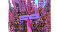 Cara Membuat Feed Instagram Aesthetic yang Unik dan Menarik